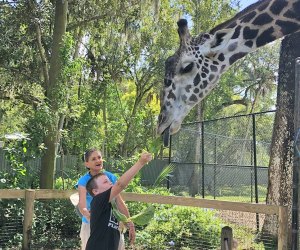 Join the Central Florida Zoo  Earth Day celebration in North America. The Zoo will have interactive activities, crafts, and games that represent our love for the planet. Photo by the author 