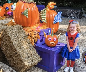 SeaWorld’s Spooktacular runs through Nov. 3 with fun surprises, candy, costumes, and more.  Photo by the author