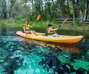 There are plenty of kayaking opportunities near Orlando, perfect for a weekend getaway. Photo courtesy of SPARK/Visit Florida