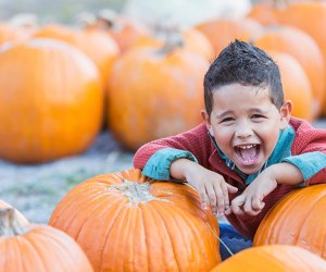 Enjoy the spookiness at a family-friendly evening of fall fun at the Hamlin Pumpkin Patch Palooza! Photo courtesy of Hamlin Pumpkin Patch