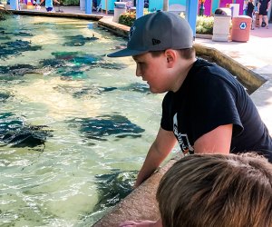 SeaWorld Orlando offers amazing hands-on experiences, like meeting these stingrays. Photo by author