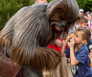 For an unforgettable start to the month, head to the May the Fourth celebration (otherwise known as Star Wars Day) at Star Wars: Galaxy's Edge at Hollywood Studios. Photo courtesy of WDW