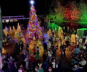 Winter Wonderland at Wekiva Island is back with a supersized Christmas tree, snow flurries, Christmas lights, Santa, and more! Photo courtesy Wekiva Island