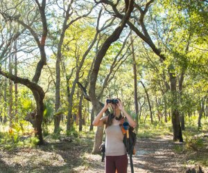 Wekiwa Springs State Park has great hiking trails for young hikers. 