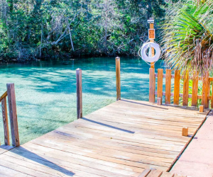 Swim and paddle with adorable manatees during your stay at the aptly-named Manatee Cove Apartment. Photo courtesy of VRBO