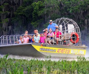 Wild Florida airboat rides allow passengers close-up experiences with Florida's native wildlife and vegetation. Photo courtesy Wild Florida