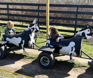 blueberries and enjoy farm fun at Amber Brooke Farms Orlando