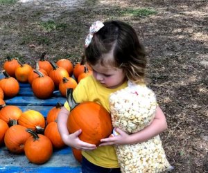 Get some fall treats along with pumpkins at Santa's Farm. Photo by the author