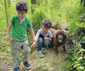 Outdoor Activities in Nature for Kids: two kids and a dog hiking in the woods