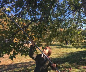 Hayrides and Fall Farm Fun for Kids in Westchester and the Hudson Valley Take a trip up to Outhouse Orchards in scenic North Salem to take a hayride, pick apples or to get lost in a corn maze. Photo by Sara Marentette