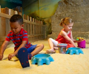 Hit the sand (indoors!) at the Outside In exhibit at the Academy of Natural Sciences. Photo by Jeff Fusco/courtesy the museum