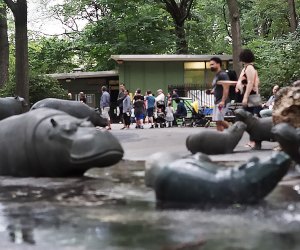 Hippo Playground is one of the top toddler playgrounds in Manhattan