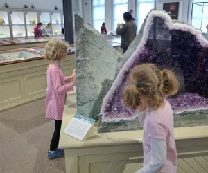 Visiting the Harvard Museums with Kids: Mummies, Glass Flowers & Totem Poles