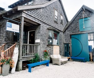 Image of Maria Mitchell Aquarium - Visiting Nantucket with Kids