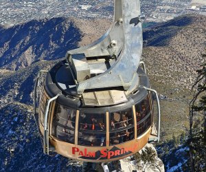 Family Road Trips From Los Angeles: Palm Springs