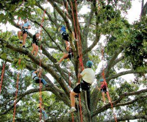 12 Day Trips near Atlanta for Georgia Families in 2020 Learn some climbing skills in a Tree Climbing Class at Panola Mountain State Park. Photo courtesy of the park