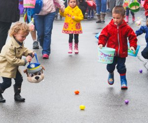 Hit the streets of Maine for more Easter egg hunting fun this spring! Photo courtesy of Papa's Peeps Egg Hunt 