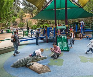 Secrets of the LA Zoo: Play Park