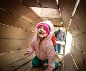 All-Day Fun: Destination Parks in Houston