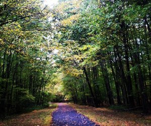 Patriots' Path is a scenic bike path