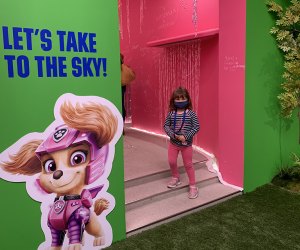 Paw Patrol Fans Will Love The New Paw Patrol Experience in NYC