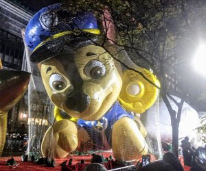 The larger-than-life balloons get inflated the night before the Macy's Thanksgiving Day Parade. Photo by Meagan Newhart