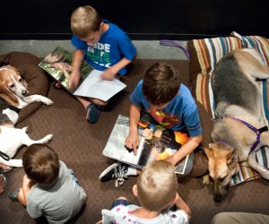 Practice reading with furry friends during the P.A.W.S. Reading Program./Photo courtesy of the Houston Museum of Natural Science.