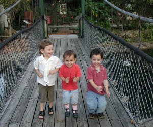 Butterfly World suspension bridge, Coconut Creek, Florida