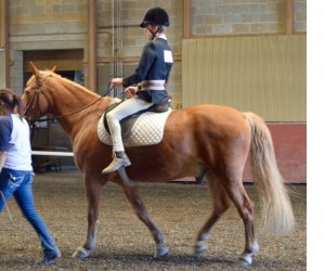 Build confidence at Pegasus Therapeutic Riding Academy. Photo courtesy of the academy