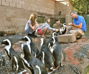 The Long Island Aquarium is one of Riverhead's top family attractions