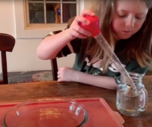 The Pepper and Soap Experiment for Kids: Easy Science Activity To Do at Home