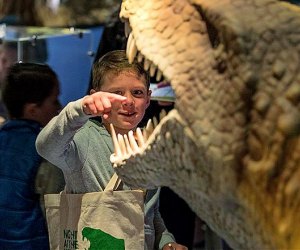 Explore the age of dinosaurs and earlier at the Permian Monsters exhibit. Photo courtesy of The Academy of Natural Sciences