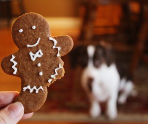 Best Christmas Cookie Recipes: Gingerbread men and women