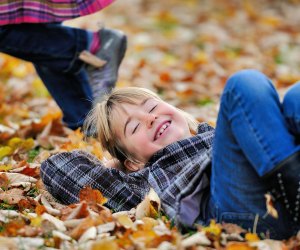  Fall Foliage near Los Angeles: Jump in the leaves!