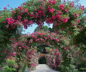 Botanical Gardens On Long Island For A Family Day Trip