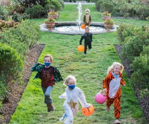 Come in costume to the Morris ArBOOretum and explore the Spooky Scarecrow loop while trick-or-treating. Photo courtesy of the Arboretum