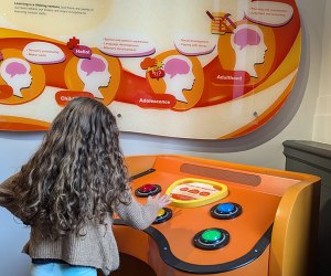 The Giant Heart is Back and Better Than Ever at the Franklin Institute