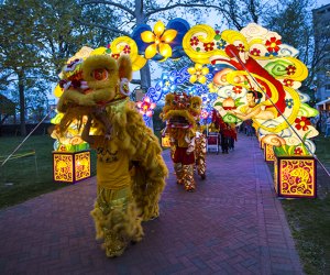 The can’t-miss illuminated fest in Philadelphia’s Historic District hosts dozens of massive, intricate, handcrafted lanterns such as dragons, tigers, rabbits, and more. Photo by C. Smyth/Visit Philly 