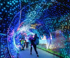 Photo ops abound at the gorgeous light displays at LumiNature. Photo by Winnie Chung for the Philadelphia Zoo