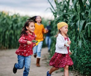 Philly corn mazes Johnson's Corner Farm.