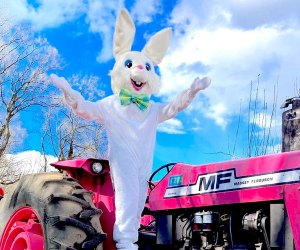Hayrides to Bunnyland run all day. and remember to pickup your handmade Easter treats at Linvilla Orchards. Photo courtesy of the orchard