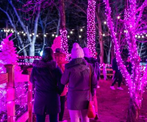 Elmwood Park Zoo's Wild Lights is back with dazzling new displays covering the zoo's 16 acres. Photo courtesy of the zoo