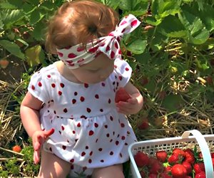 At Highland Orchards Farm and Market, it's all about the berries. 
