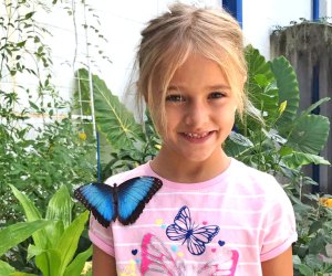 The Philadelphia Insectarium and Butterfly Pavilion Awesome Things to do with Kids in Northeast Philadelphia