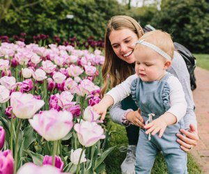 Treat mom to thousands of blooming flowers at Longwood Gardens. Photo courtesy of the gardens 