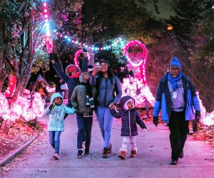Photo ops abound at the gorgeous light displays at LumiNature. Photo by Georgi Anastasov Photography for the Philadelphia Zoo