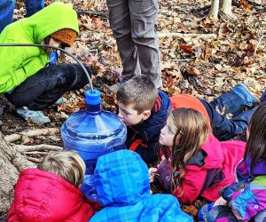 Visit Wissahickon Environmental Center to learn how sap is collected from sugar maple trees and turned into syrup. Photo courtesy of the center
