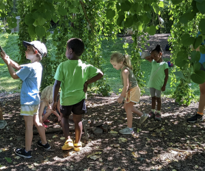 Kids get to explore nature at Morris Arboretum Camp. Photo courtesy of the arboretum