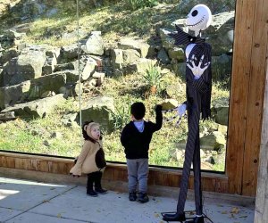 Meet spooky characters and animals at Brandywine Zoo's Boo at the Zoo. Photo courtesy of the zoo