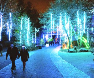 See more than a million lights on Christmas Day at LumiNature t the Philly Zoo. Photo by Georgi Anastasov. 